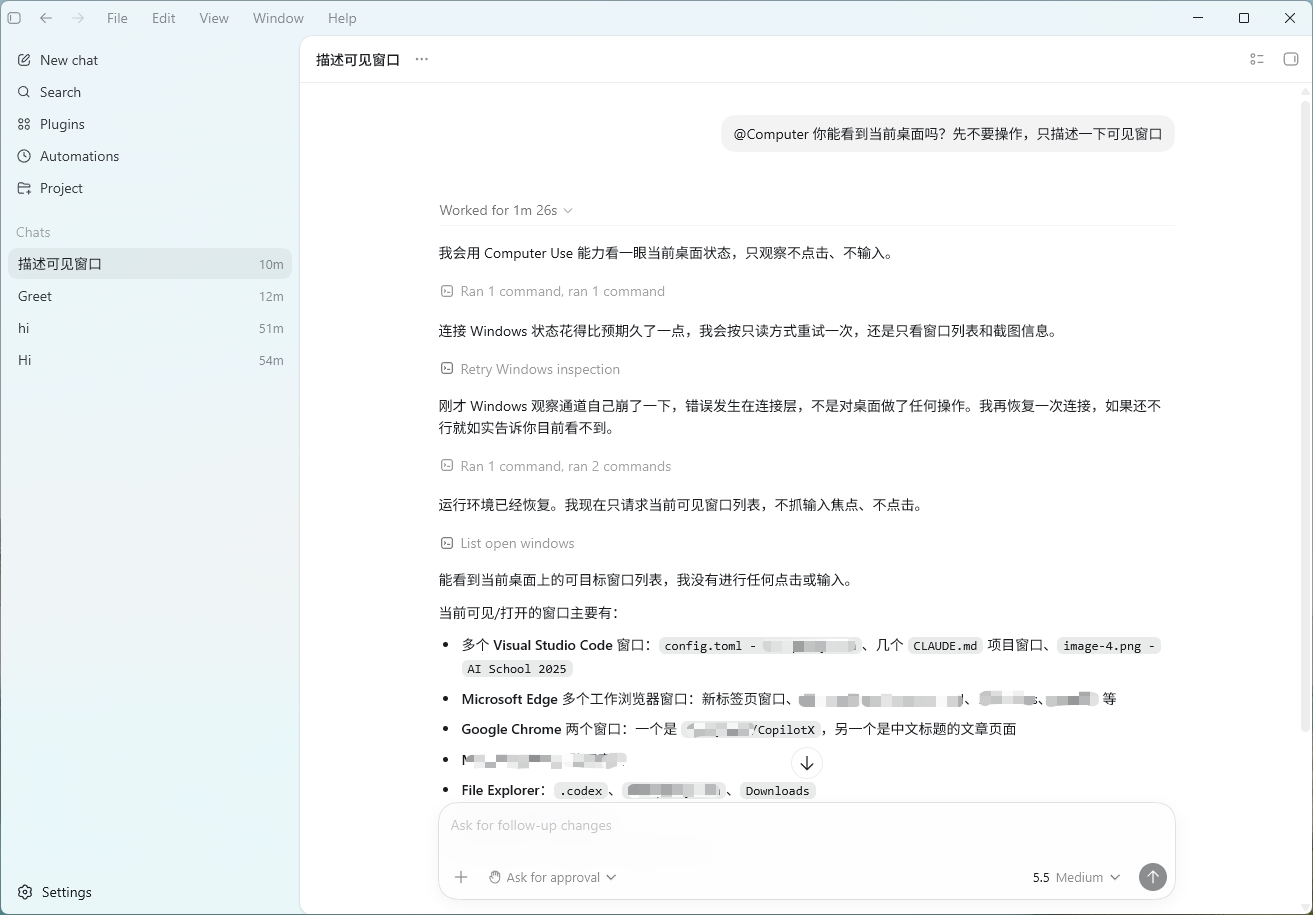 Codex 用 Computer Use 能力描述当前可见窗口，全程只观察、不点击、不输入